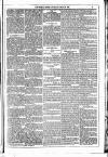 Dublin Weekly News Saturday 17 March 1883 Page 3