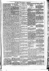 Dublin Weekly News Saturday 17 March 1883 Page 5