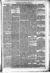 Dublin Weekly News Saturday 31 March 1883 Page 5
