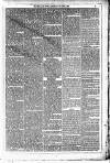 Dublin Weekly News Saturday 28 April 1883 Page 3