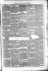 Dublin Weekly News Saturday 01 September 1883 Page 3