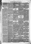 Dublin Weekly News Saturday 29 September 1883 Page 5