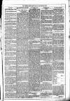 Dublin Weekly News Saturday 10 November 1883 Page 5