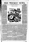 Dublin Weekly News Saturday 17 November 1883 Page 1