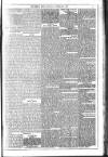 Dublin Weekly News Saturday 09 February 1884 Page 5