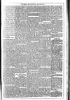 Dublin Weekly News Saturday 22 March 1884 Page 5