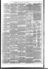 Dublin Weekly News Saturday 30 August 1884 Page 3