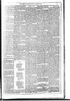 Dublin Weekly News Saturday 30 August 1884 Page 5