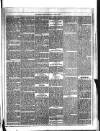 Dublin Weekly News Saturday 02 May 1885 Page 3