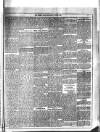 Dublin Weekly News Saturday 27 June 1885 Page 5