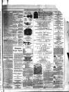 Dublin Weekly News Saturday 11 July 1885 Page 7