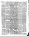 Dublin Weekly News Saturday 02 January 1886 Page 3