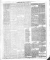 Dublin Weekly News Saturday 09 January 1886 Page 5