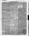 Dublin Weekly News Saturday 08 January 1887 Page 5