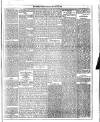 Dublin Weekly News Saturday 22 January 1887 Page 5