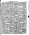 Dublin Weekly News Saturday 12 February 1887 Page 3