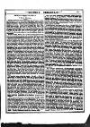 Irish Emerald Saturday 24 March 1877 Page 9