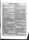 Irish Emerald Saturday 14 April 1877 Page 9