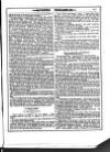 Irish Emerald Saturday 18 December 1880 Page 11