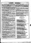 Irish Emerald Saturday 25 November 1882 Page 13