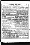 Irish Emerald Saturday 01 August 1885 Page 13