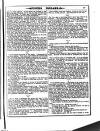 Irish Emerald Saturday 08 January 1887 Page 13