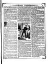 Irish Emerald Saturday 08 December 1888 Page 13