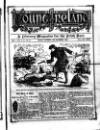 Irish Emerald Saturday 29 December 1888 Page 1