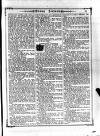 Irish Emerald Saturday 25 January 1890 Page 5