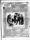 Irish Emerald Saturday 25 January 1890 Page 9