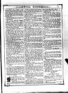 Irish Emerald Saturday 25 January 1890 Page 13