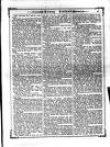 Irish Emerald Saturday 08 February 1890 Page 13