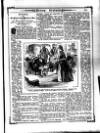 Irish Emerald Saturday 15 February 1890 Page 9