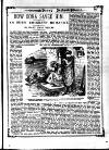 Irish Emerald Saturday 01 August 1891 Page 9