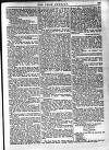 Irish Emerald Saturday 19 December 1891 Page 13