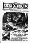 Irish Emerald Saturday 11 November 1893 Page 1