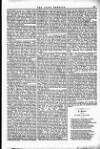 Irish Emerald Saturday 08 September 1894 Page 11