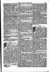 Irish Emerald Saturday 18 May 1895 Page 13