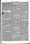 Irish Emerald Saturday 15 June 1895 Page 5