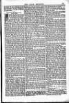 Irish Emerald Saturday 15 June 1895 Page 11