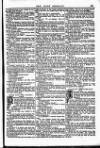 Irish Emerald Saturday 15 June 1895 Page 13