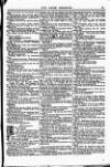 Irish Emerald Saturday 08 February 1896 Page 13