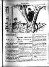 Irish Emerald Saturday 12 October 1901 Page 9