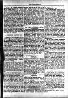 Irish Emerald Saturday 11 January 1902 Page 15