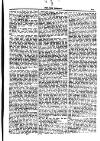 Irish Emerald Saturday 01 August 1903 Page 13