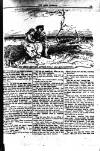 Irish Emerald Saturday 30 January 1904 Page 7