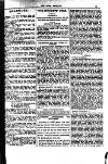 Irish Emerald Saturday 30 January 1904 Page 13