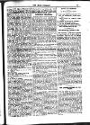 Irish Emerald Saturday 24 November 1906 Page 19