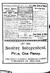 Irish Emerald Saturday 01 June 1907 Page 2