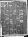 Lurgan Times Saturday 01 April 1882 Page 3